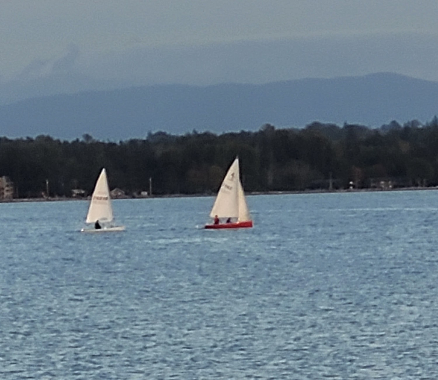 Two dinghies on Birch Bay